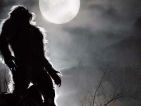 Game of Werewolves – Die Jagd beginnt