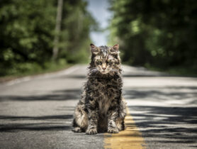 „Friedhof der Kuscheltiere“ ab 4. April 2019 im Kino